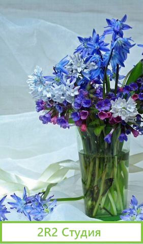 Готовый бизнес на растениях