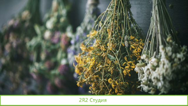Готовый бизнес по продаже семян и целебных трав