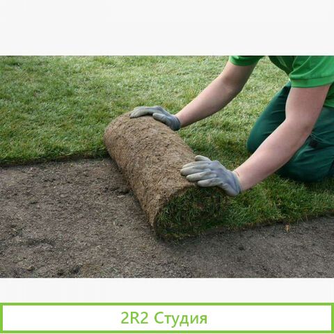 Готовый бизнес по укладке газона и озеленению