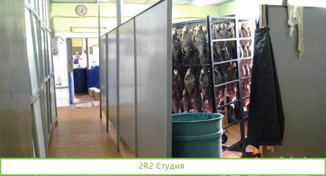 Готовый бизнес, рыбное производство