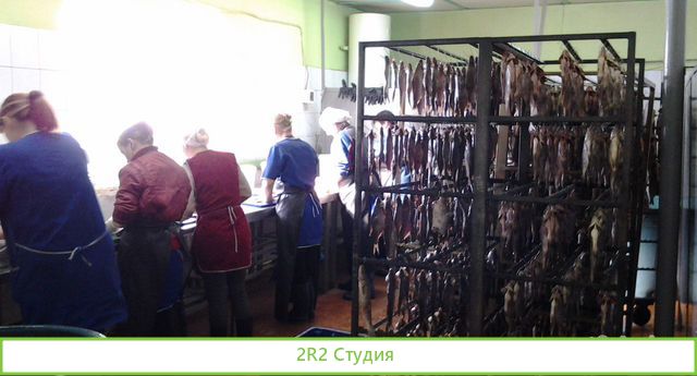 Готовый бизнес, рыбное производство