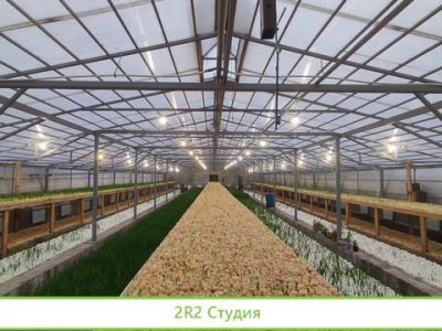 Готовый бизнес теплица и дом