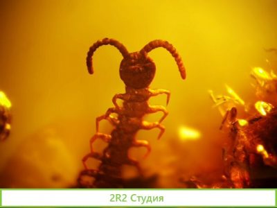 Готовый бизнес, выставка. До 3 млн. прибыли в год