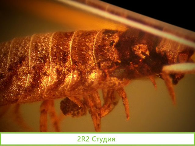 Готовый бизнес, выставка. До 3 млн. прибыли в год