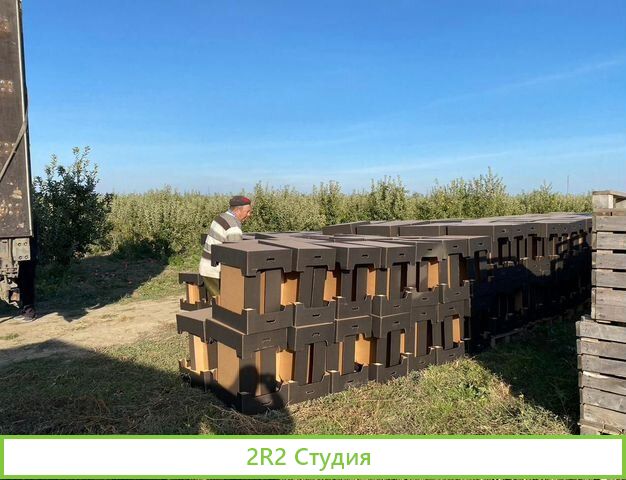 Готовый Бизнес. Яблоневый Сад, Прибыль 20 млн. руб