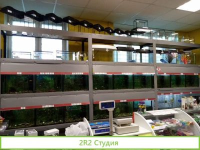 Готовый бизнес Зоомагазин
