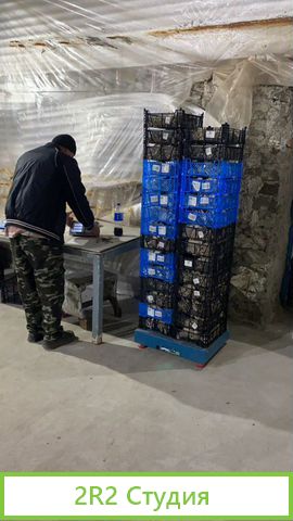 Готовый грибной бизнес