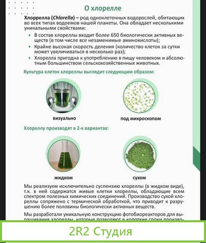 Готовое производство хлореллы