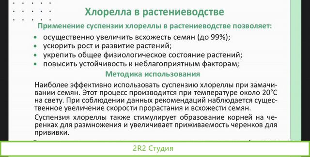 Готовое производство хлореллы