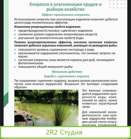 Готовое производство хлореллы