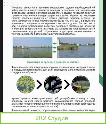 Готовое производство хлореллы