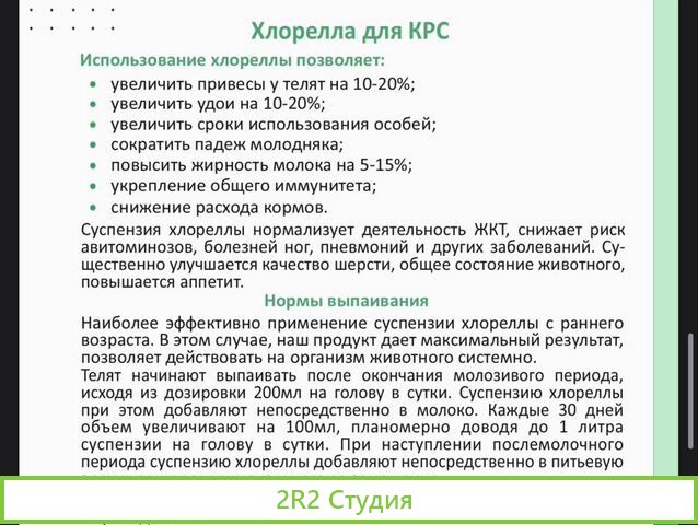 Готовое производство хлореллы
