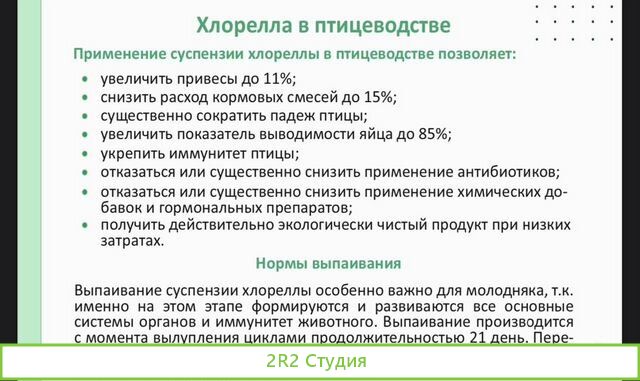 Готовое производство хлореллы