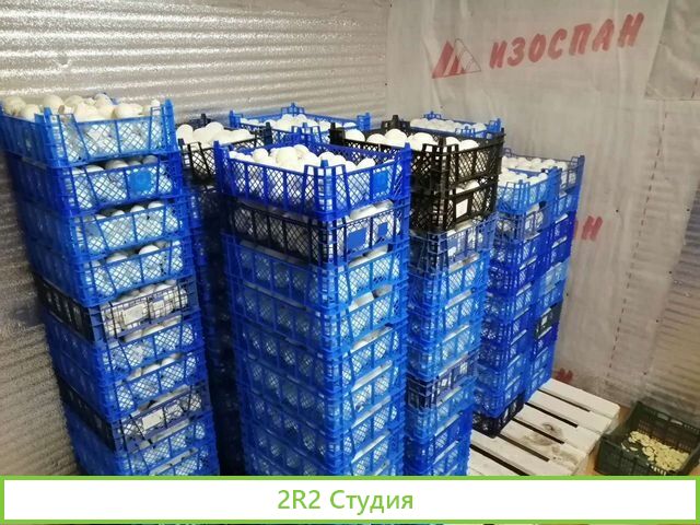 Грибное производство