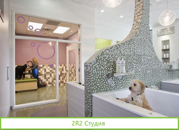 Груминг салон / Быстрая окупаемость