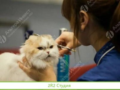 Груминг салон по известной франшизе