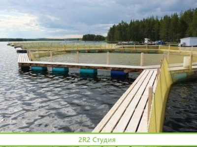 Хозяйство по выращиванию рыбы в собственность