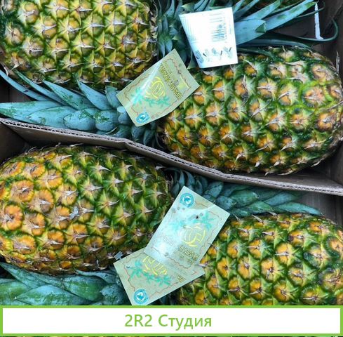 Интернет магазин, экзотические фрукты