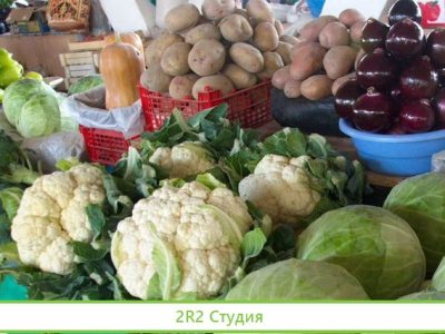 Привлекаем инвестиции. Овощи опт. 30 проц в год