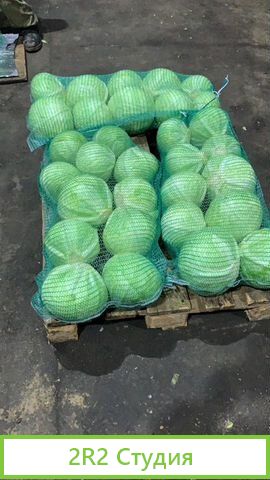 Инвестиции и доход.Овощи-Ягоды Опт. 36 в год
