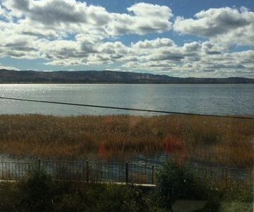 Инвестиции в готовый бизнес