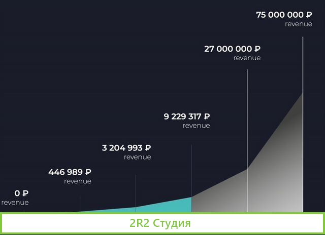 Инвестиции в прибыльную IT компанию