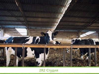 Инвестиции в сельское хозяйство, до 36 годовых