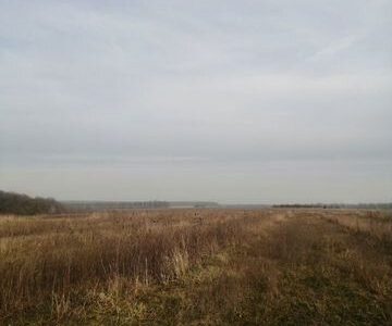 Инвестируйте в строительство Эко-отеля