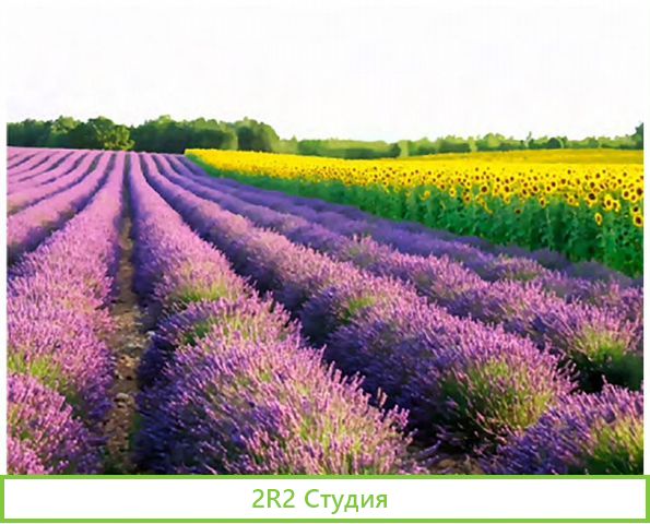 Инвестируйте в строительство Эко-отеля