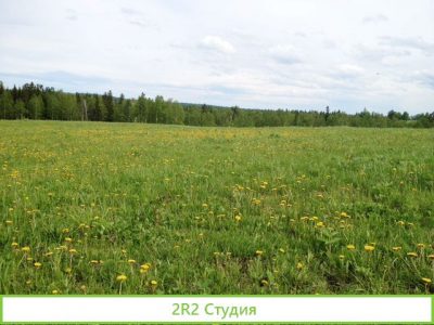 Ищу инвестора. С/х. Земля - 800га