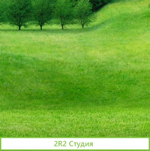 Ищу компаньона инвестора партнера