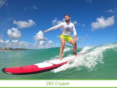 Ищу партнера в дропшиппинг Морковь Оптом