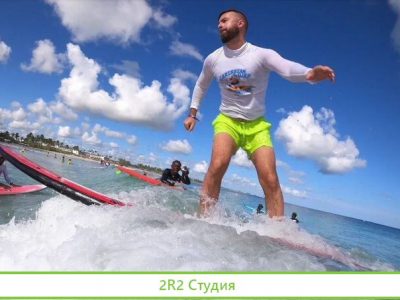 Ищу партнера в готовый бизнес дропшиппинг Картофел