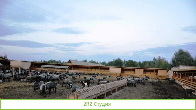 Ищу партнера/инвестора в ферму при базе отдыха