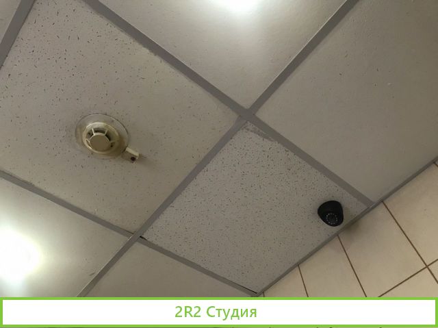 Кафе 300м2 с мебелью и оборудованием