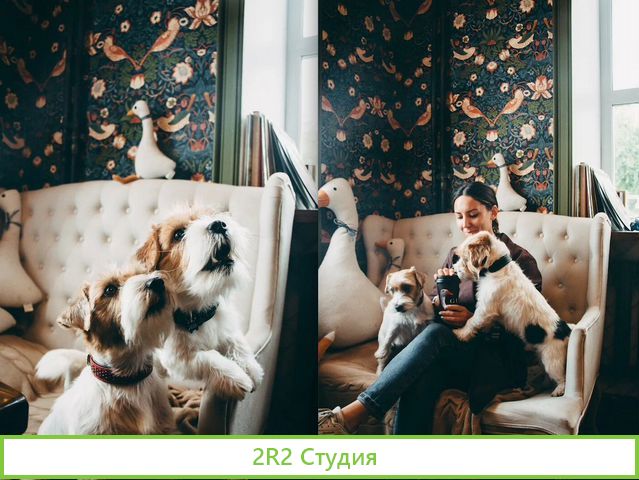 Кофейня с идеальной концепцией и высокой прибылью