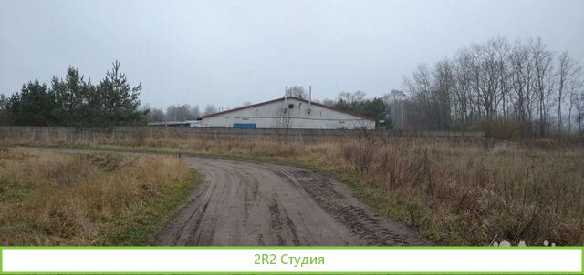Колбасный цех