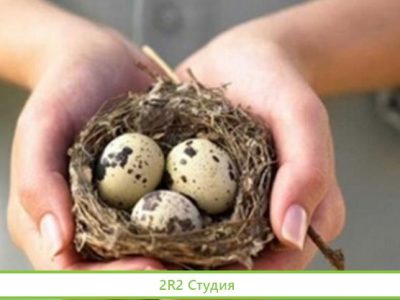 Компания ооо с контрактами Лента, азбукавкуса и др