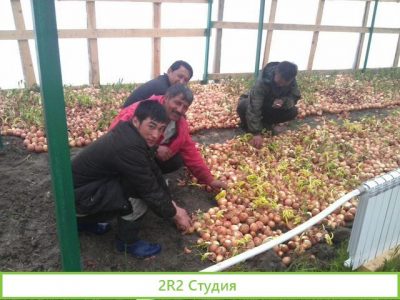 Компаньон партнер инвестор в бизнес