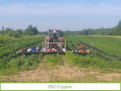 Крестьянское хозяйство, 92 га