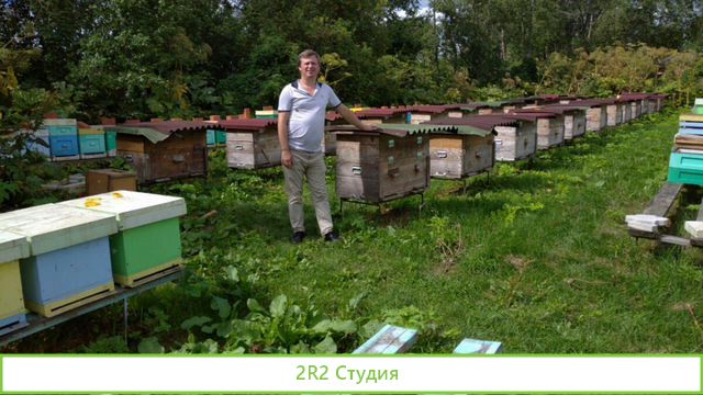 Купил Второй колхоз Требуются Инвесторы