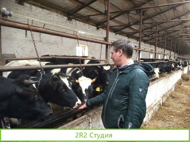 Купил Второй колхоз Требуются Инвесторы