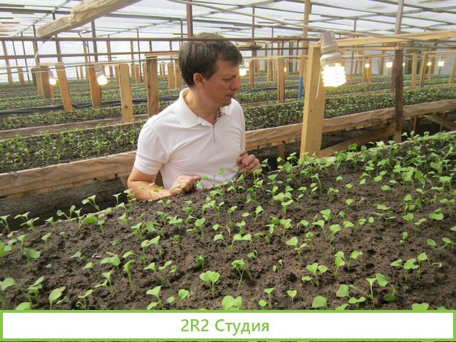 Купил Второй колхоз Требуются Инвесторы