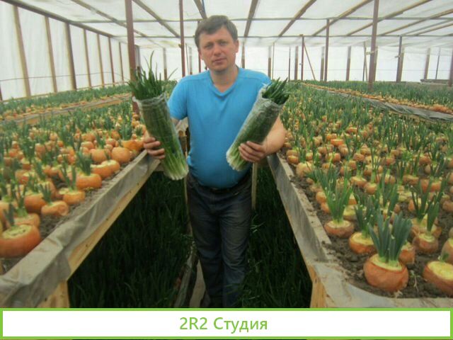 Купил Второй колхоз Требуются Инвесторы