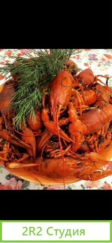 Купить кафе бар бизнес