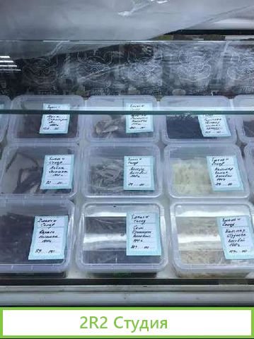 Магазин-бар разливного пива