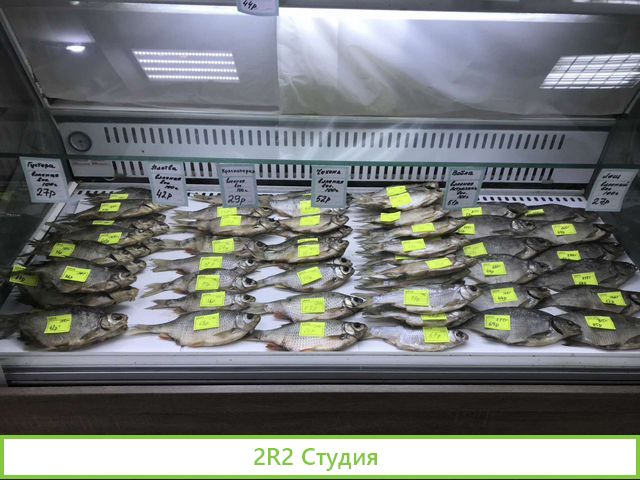 Магазин-бар разливного пива