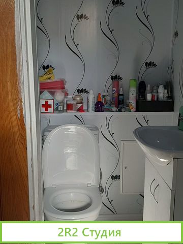 Магазин авокадо