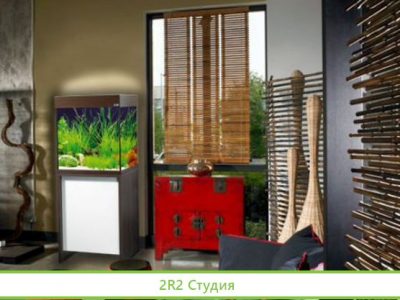 Магазин по продаже аквариумов/бизнесу 20 лет
