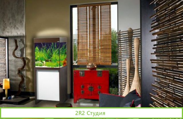 Магазин по продаже аквариумов/бизнесу 20 лет